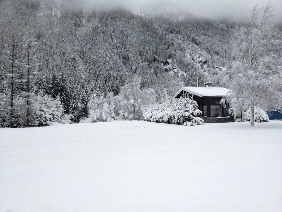 Chalet L'Ilet Ensoleille /Sunny Island Chalet Шамони Екстериор снимка